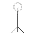 Ring light with black tripod stand and central phone holder, front view